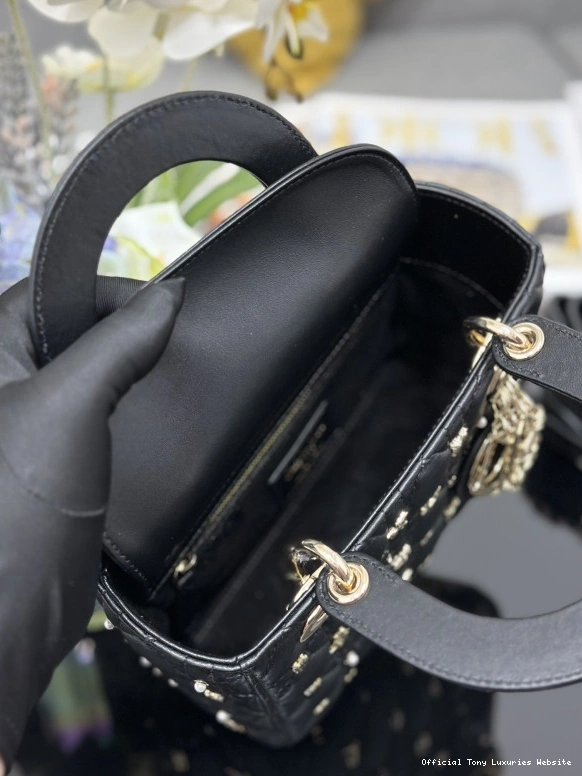 Tony Luxuries DI0R-20CM LADY 0805